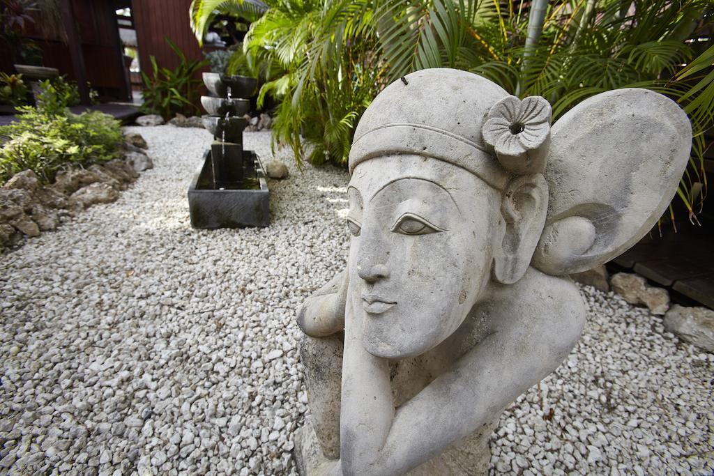 Manchebo Beach Resort And Spa Palm Beach ภายนอก รูปภาพ